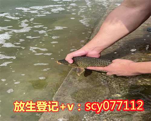 放生鸟的句子温州，温州哪里比较适合放生红鲤鱼【温州放生鸟】
