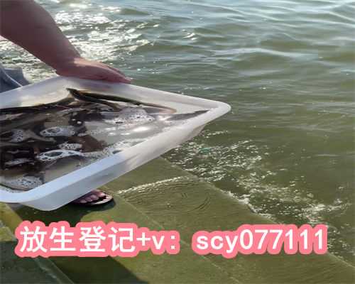 深圳放生协会，放生泥鳅需要注意什么