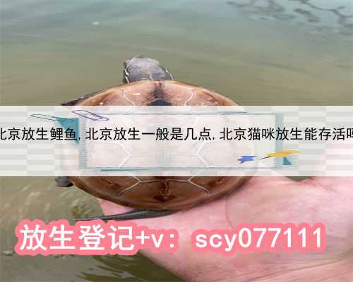 北京放生鲤鱼,北京放生一般是几点,北京猫咪放生能存活吗