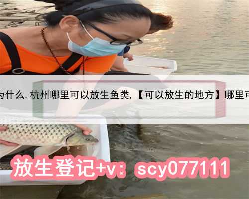 杭州放生是为什么,杭州哪里可以放生鱼类,【可以放生的地方】哪里可以放生鱼