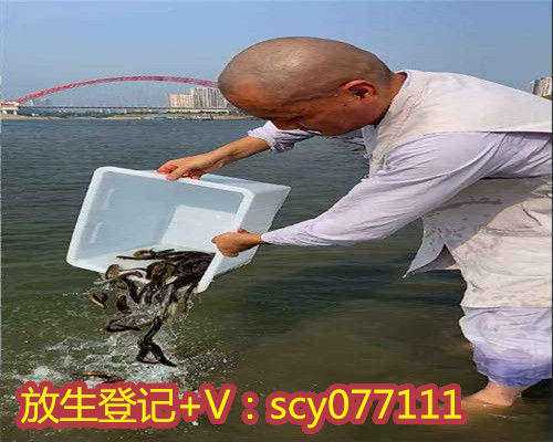 上海适合代放生乌龟的地方在哪，上海地藏古寺水陆法会正式启坛
