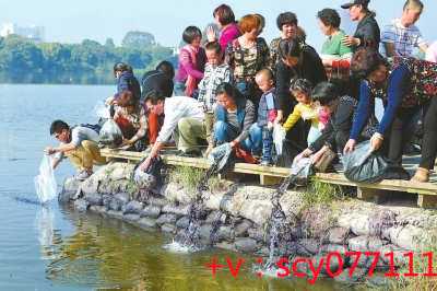 杭州哪里有代放生乌龟的地方，杭州灵隐寺方丈接待日本阿含宗访华代表团