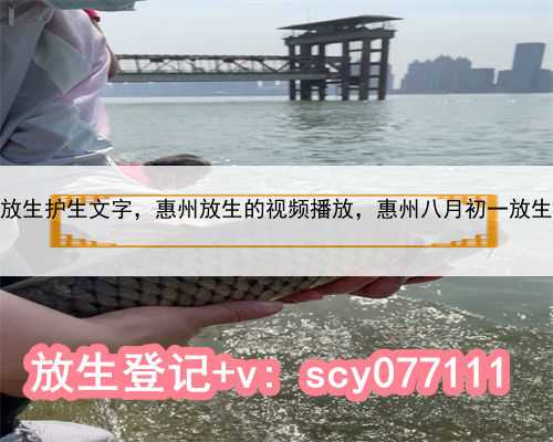 惠州放生护生文字，惠州放生的视频播放，惠州八月初一放生时间