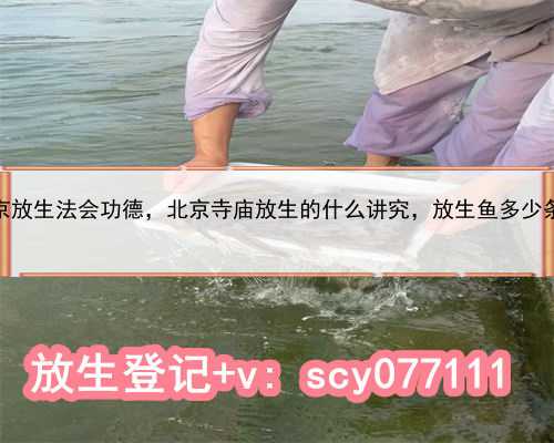北京放生法会功德，北京寺庙放生的什么讲究，放生鱼多少条好